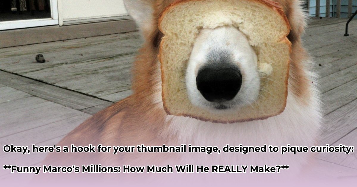 what-is-funny-marco-net-worth